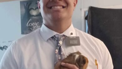 Elder Aleki Langi Obituary, Death
