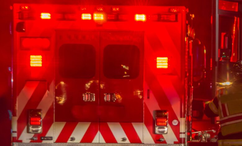 Anthony Senzarino, Diane Senzarino Obituary, Death: Elderly victims identified in deadly Cicero house fire, police say. Anthony Senzarino, Diane Senzarino Obituary, Death