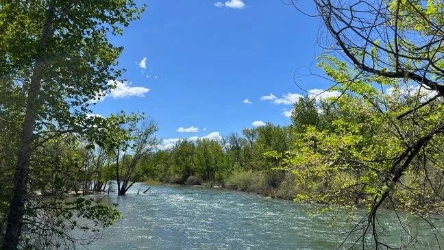 Clinton Bieschke Obituary, Death