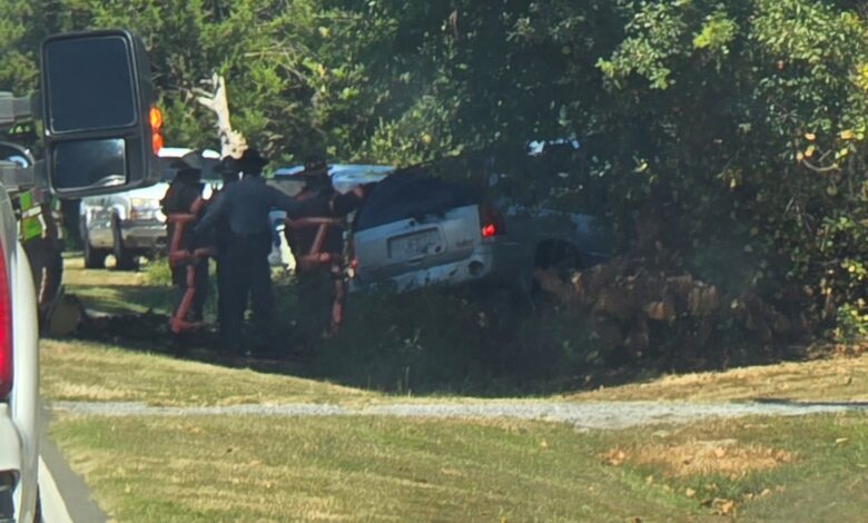 Nicola Hines Obituary, Death; Woman ID’d in fatal fiery Wayne County crash. Nicola Hines Obituary, Death